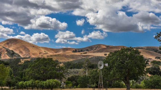 Foxen Canyon - Pam Folgner