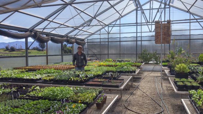 Plant Lady Provides Organic Starters For Local Gardens Santa Ynez Noey Turk Known As The Plant Lady Is Creator Of Yes Nursery In Los Olivos She Has Been Ing Her Starters At Farmers Market