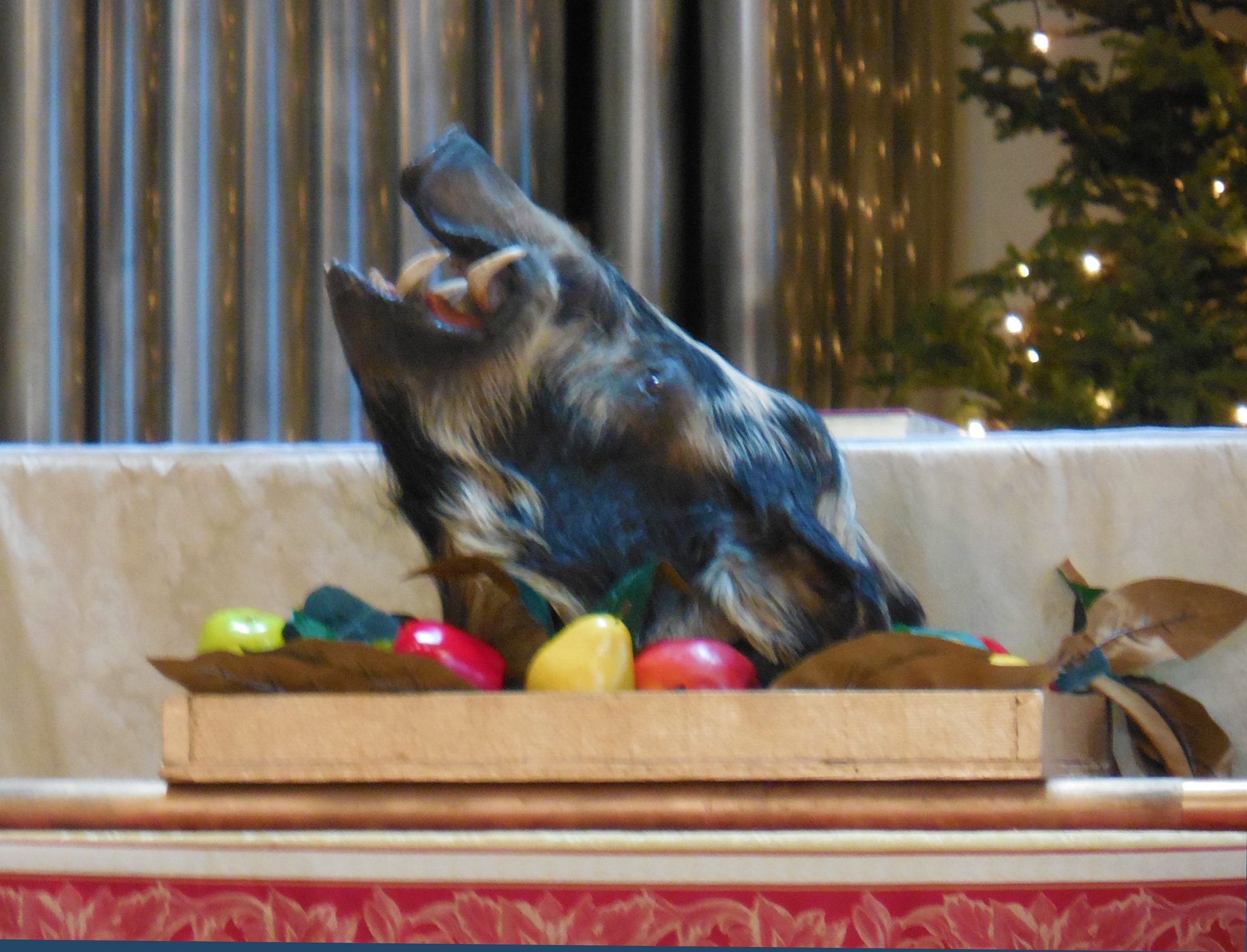 San Manuel Casino Events Calendar