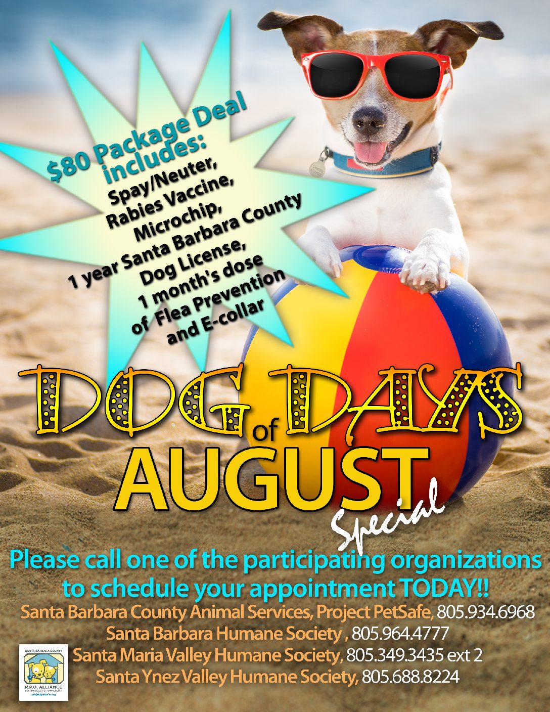 Dog owners can save $500 during ‘Dog Days of August’