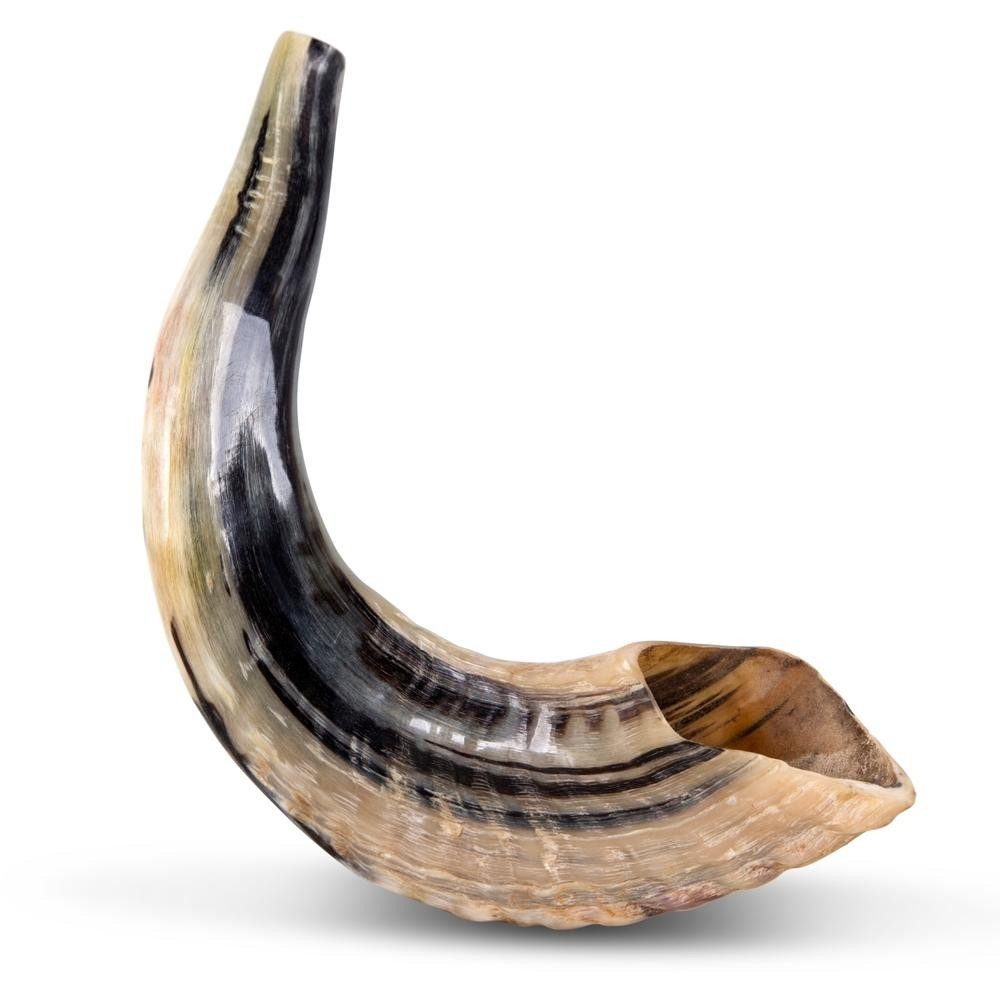 Jewish Shofar Santa Ynez Valley Star